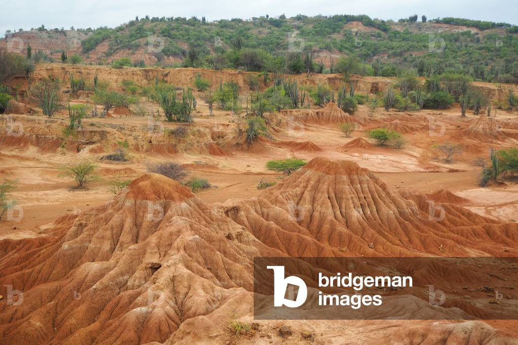 Desert of Tatacoa, Colombia, Colombia (photo)