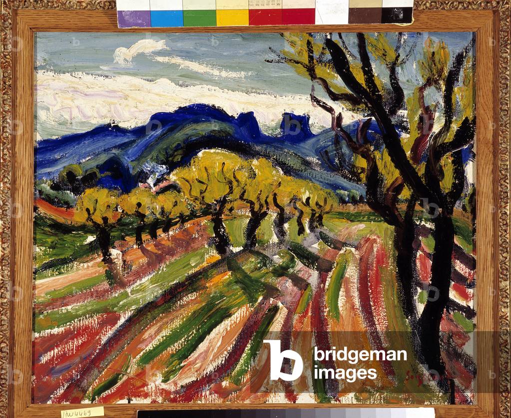 Olivenbaumfeld in den Alpilles (Öl auf Leinwand)