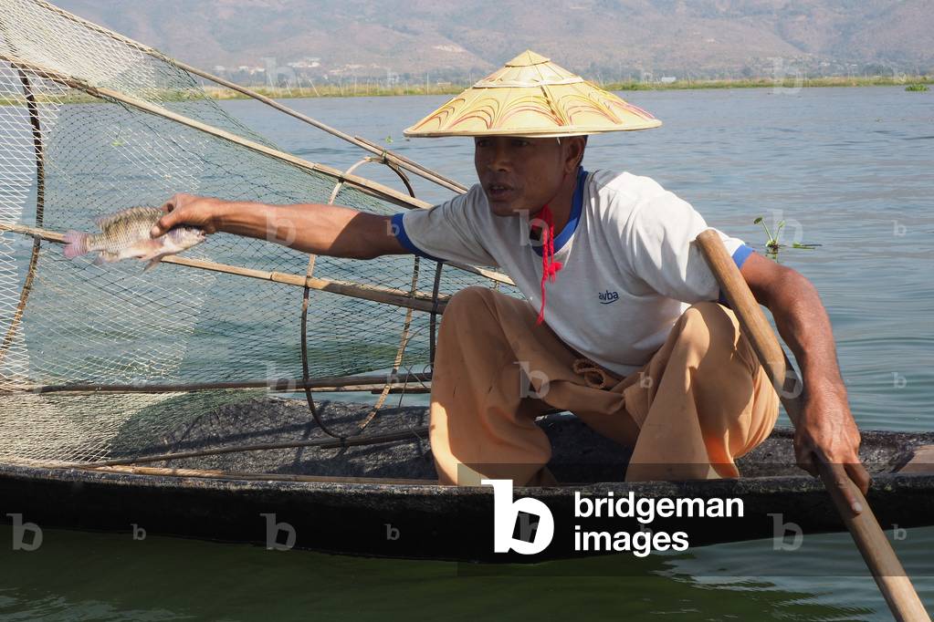 Myanmar - Burma: Inle Lake, Shan State. An estimated area of 12,000 hectares, and one of the highest, is 884 m. Its average depth is only 2.10 m in the dry season (maximum depth: 3.60 m) but can exceed 4 m in the rainy season. Peacher with the Nasse showing his sin, a pole