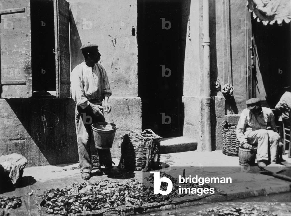 Mussels dealer on the ground in Marseille. Photography beginning of the 20th century. Municipal Archives of Marseille Inv 64 ii 36