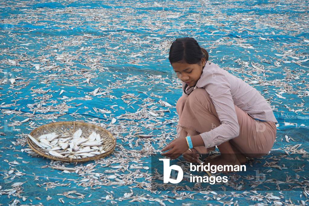 Myanmar - Burma: Ngapali, village on the Indian Ocean. Rakhine State. Gulf of Bengal. Sorting fish for drying