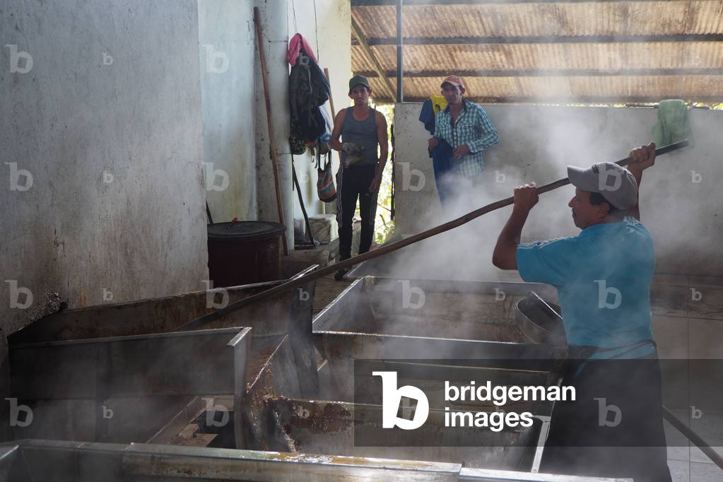 Around Barichara, small sugar cane extraction plant: Heating juice to concentrate, Barichara, Colombia (photo)