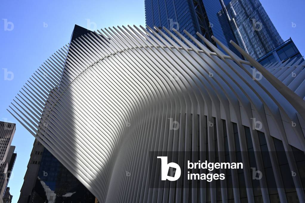 Oculus, station at the foot of One World Trade Center, detail, New York City, USA (photo)