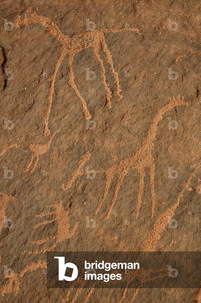 Rock art, Prehistory: Engraving of giraffes, ostriches, other animals and characters in the Uweinat massif, Sudan (Karkur-Talh or Karkur Talh). Period from 8000 to 3000 years BC. Photography