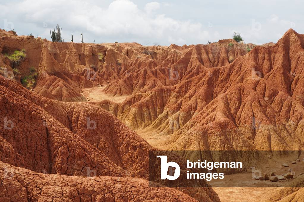 Desert of Tatacoa, Colombia, Colombia (photo)
