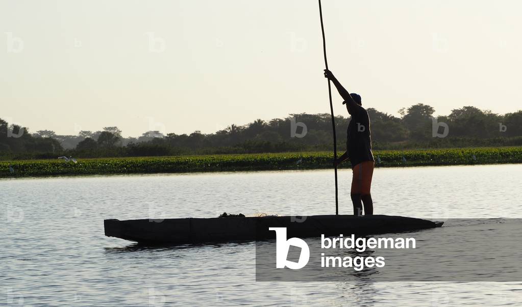 Marsh and lake of Cienaga Pijino, Mompox, Colombia (photo)