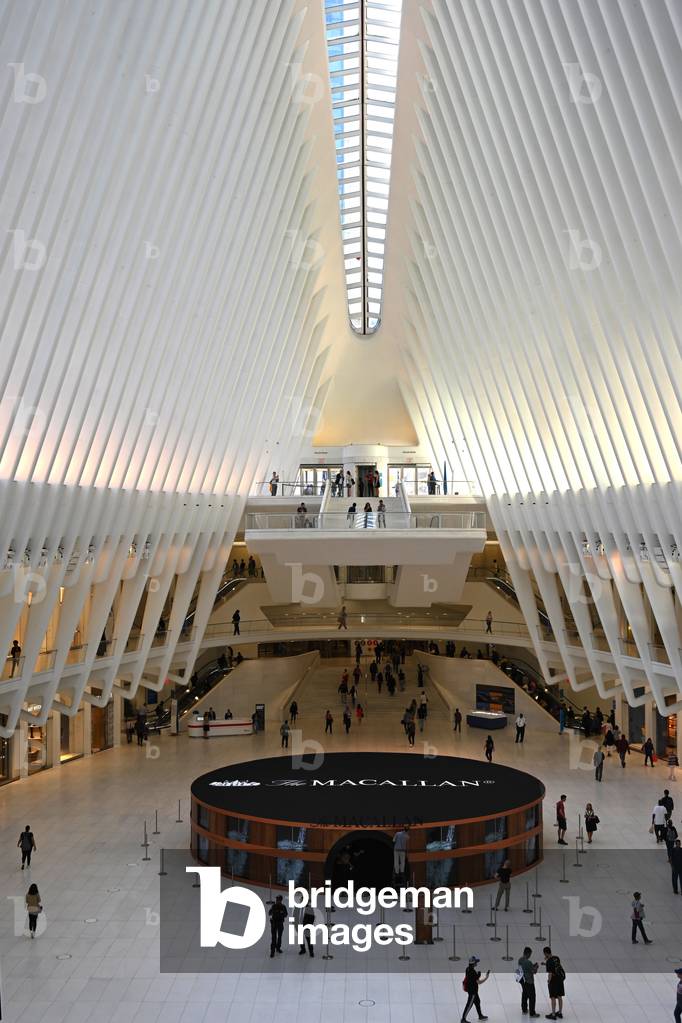 Oculus, station at the foot of One World Trade Center, detail, New York City, USA (photo)