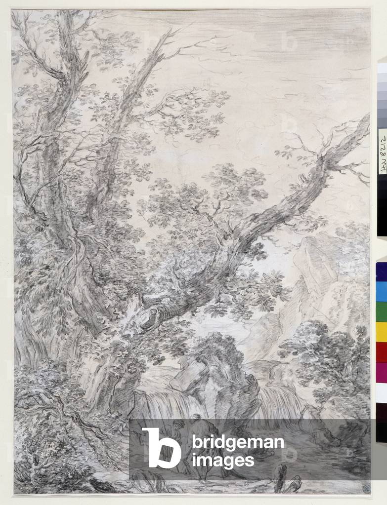 Tree Study Lavis (oil on canvas)