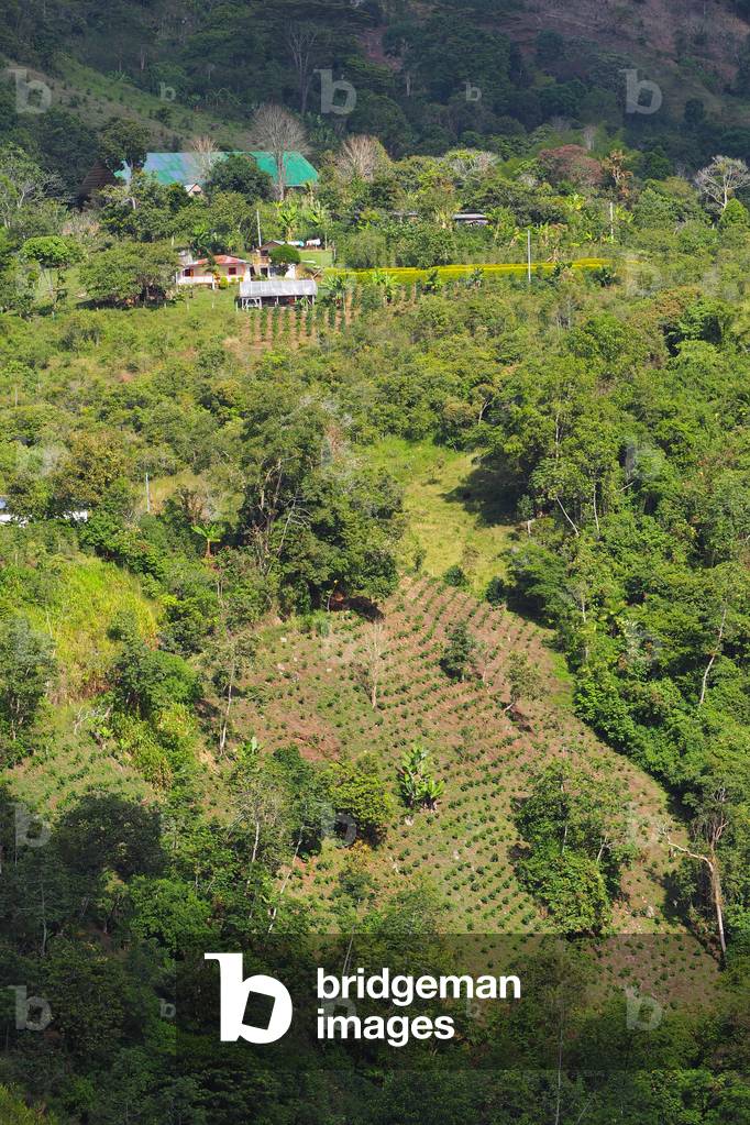 Archeological Park, Religious Monuments, Megalithes sculptures, Divinites and animals, Family coffee plantation on the slopes of the Magdelena Valley, San Augustin, Colombia (photo)