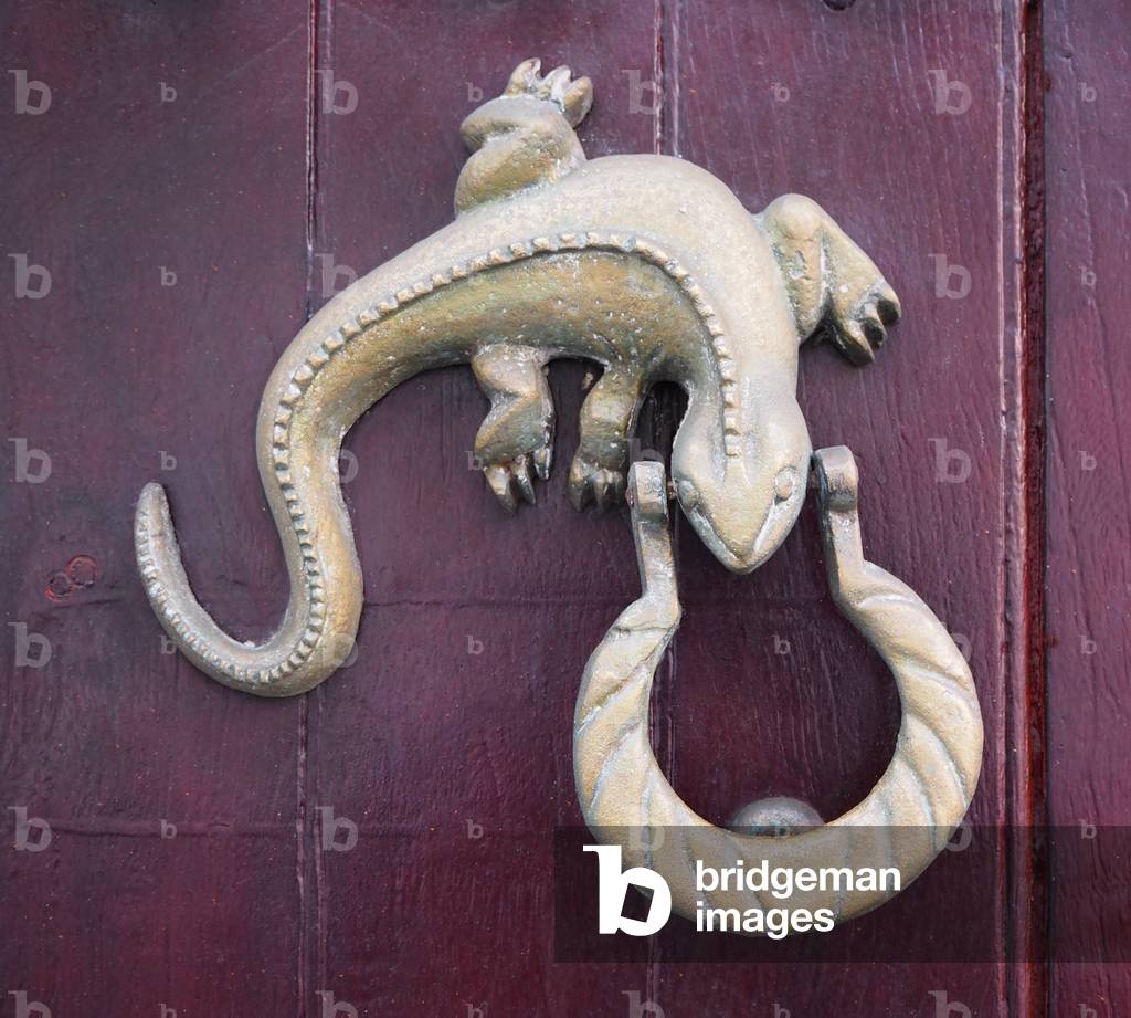 Colonial style architecture, Knocker, lezard, Cartagena of India, Colombia (photo)