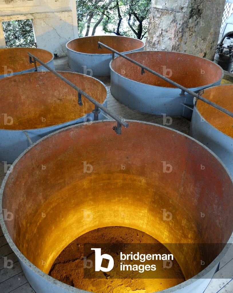 English West Indies - French Antilles - Le Francois, Habitation Clement, Domaine de l'Mahogany. Vat for fermentation of sugar cane juice - Martinique, island of the French Antilles