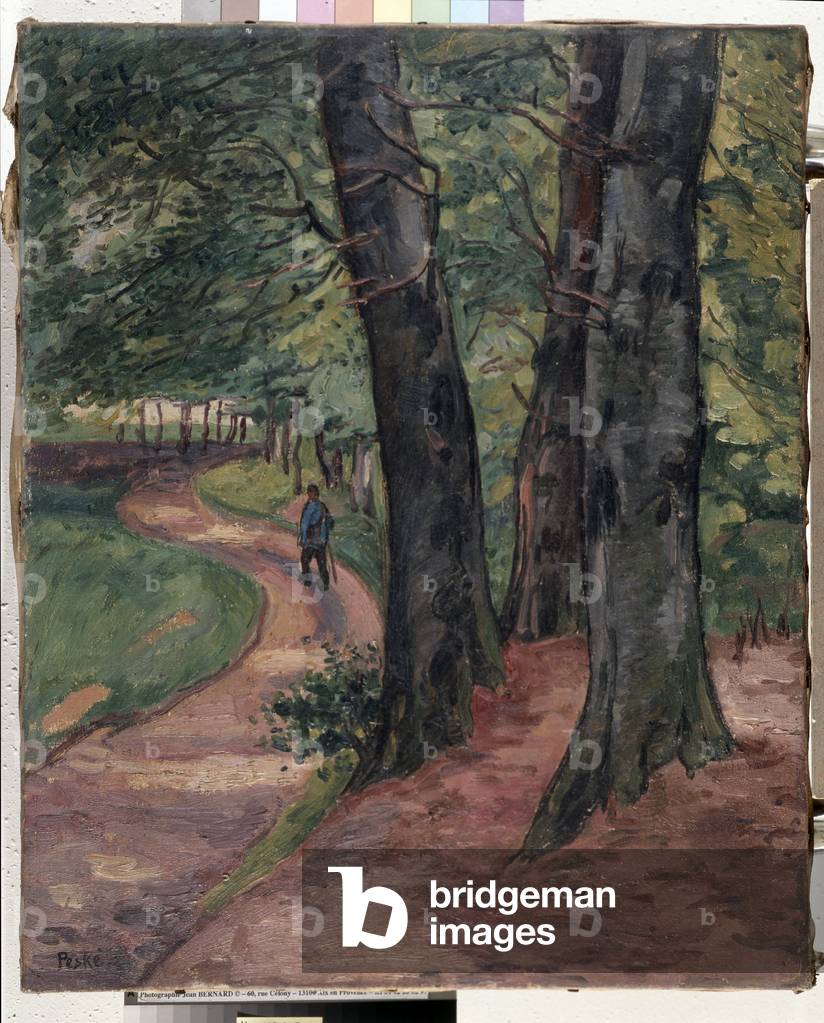 The edge of the forest of Eu (oil on canvas)