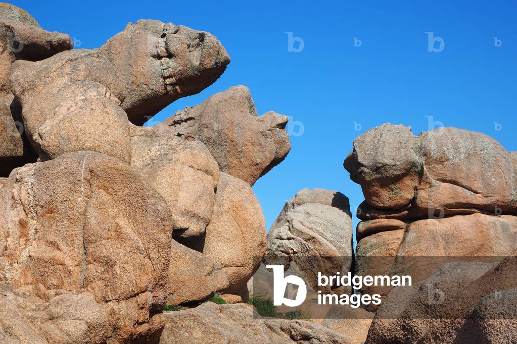 Rocher des Sorcerres, Cote de Granite Rose, Perros-Guirec, Cote d'Armor, France (photo)