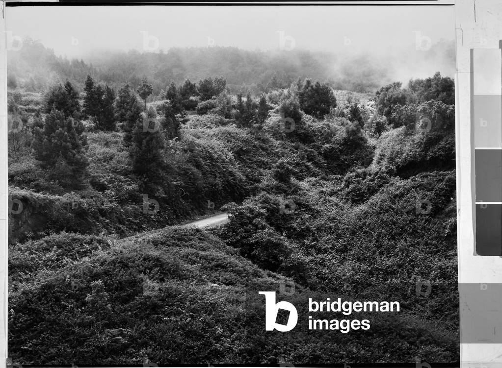 Landscape, diversity and lush vegetation of the Ile de la Reunion (Mascareignes archipelago), department and region of overseas France