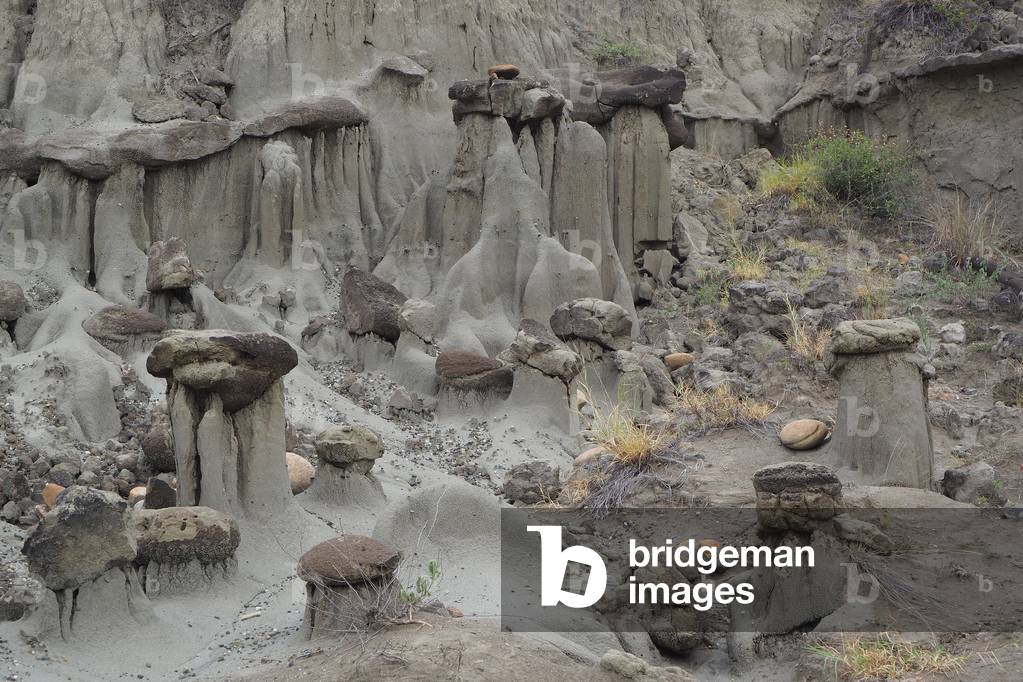 Grey desert called ghosts, Desert of Tatacoa, Colombia, Colombia (photo)