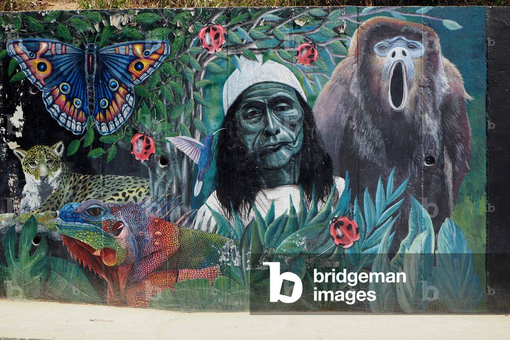 Wall painted, Minca, Colombia (photo)