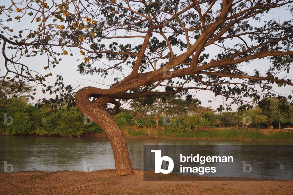The Magdalena River 1558kms that crosses the country, Mompox, Colombia (photo)