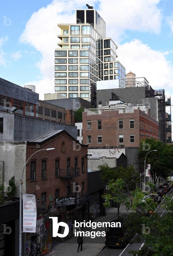 Side
View of a street district of Chelsea, Urban Linear Park suspended on a portion of the former air railways of the lower West Side, HighLine, New York City, USA (photo)