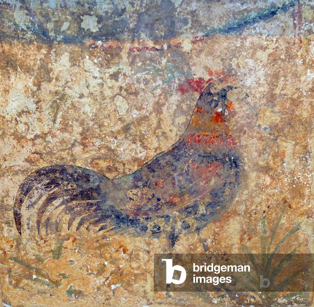 Altar of the Rooster, discovered in 1956 in a Roman house. Fresco, about 200 BC. The ruins of Empuries, ruins Greco Romaine, Spain, Catalonia.