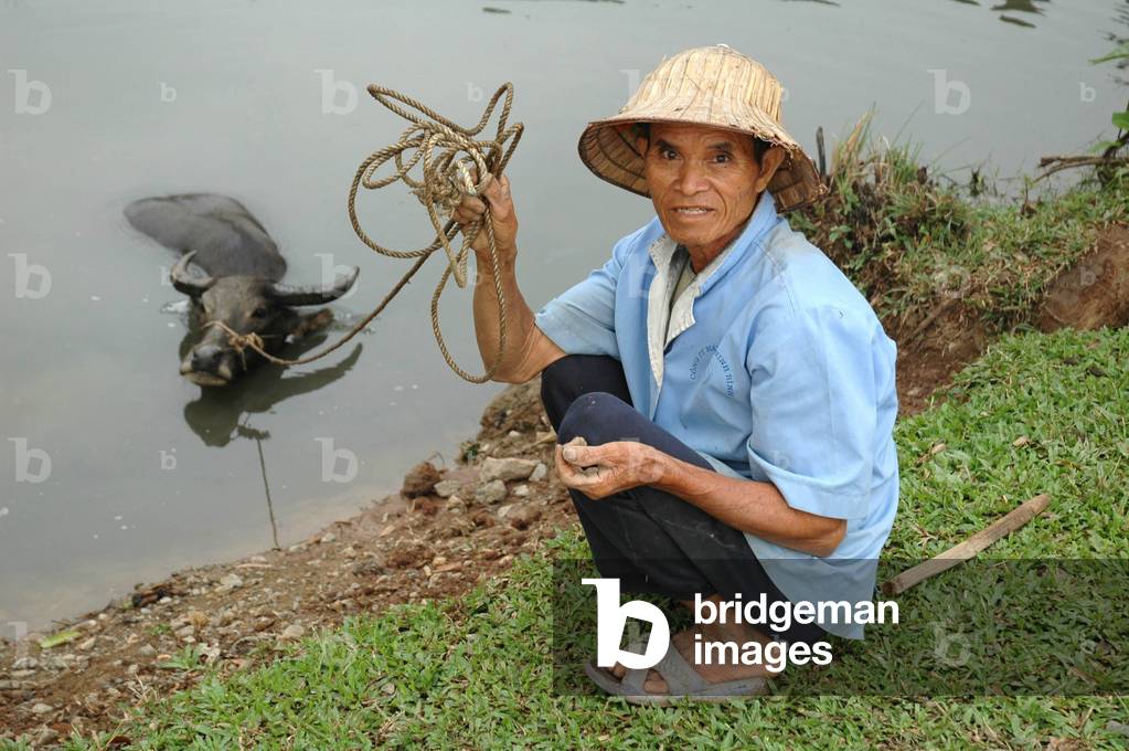 Buffalo Bathing, Ninh Binh, Vietnam, 2006