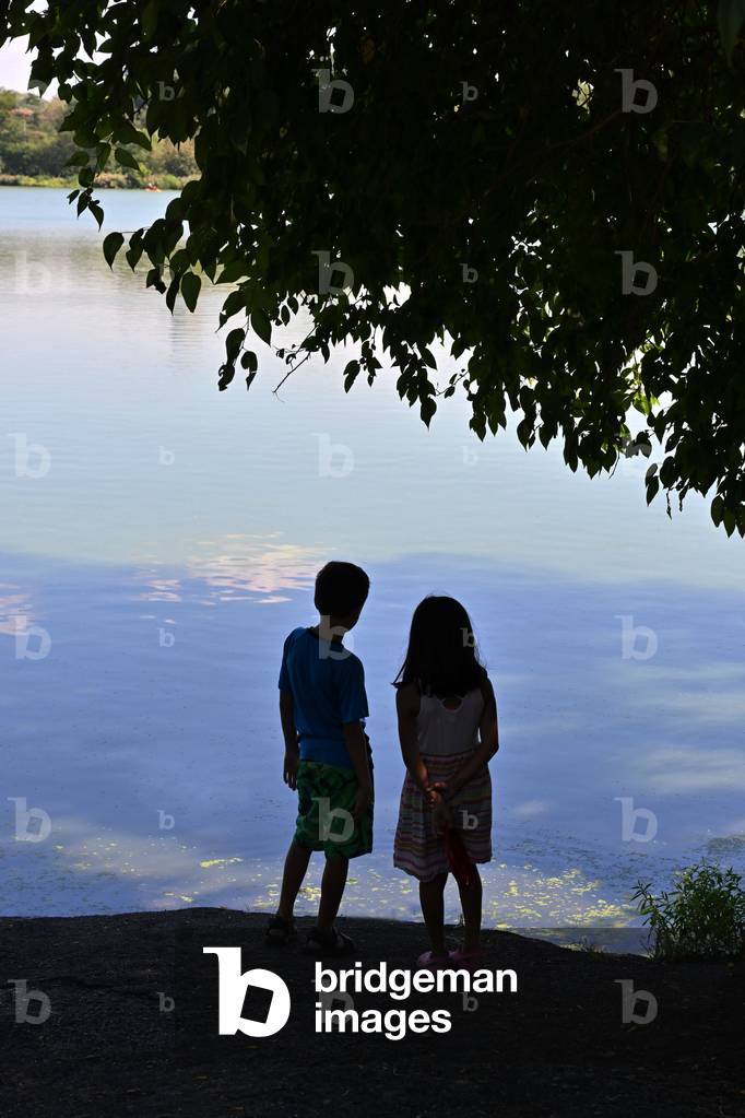 Brooklyn, Prospect Park
, New York City, United States (photo)