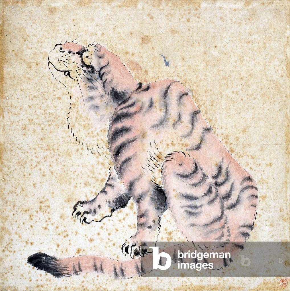 Tiger - Artwork attributed to Hokusai (1760-1849), Chinese ink and painting on paper (27,5x27,7 cm), late 18th century - Musee de l'hospice Saint Roch, Issoudun - Mandatory mention