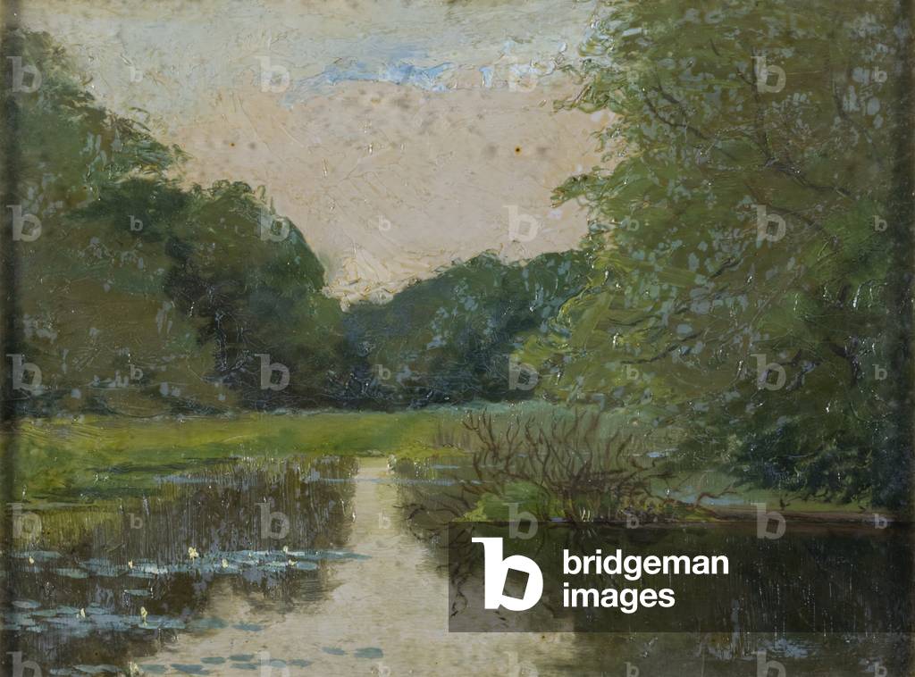 View of a lily pond in a woodland, c.1900-15 (oil on board)