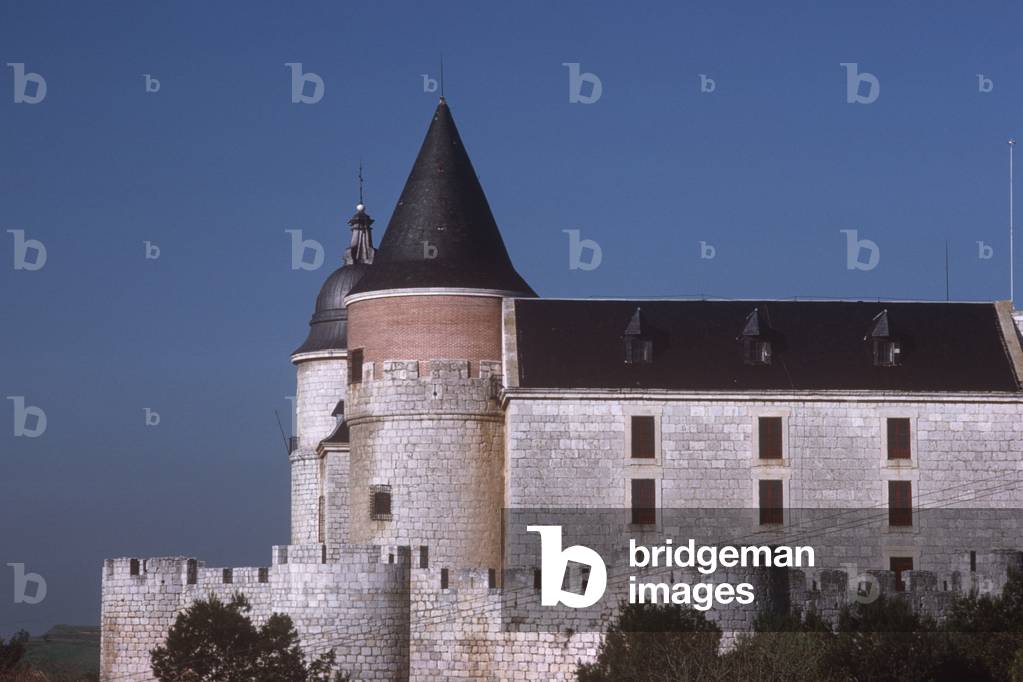 View of the castle (photo)