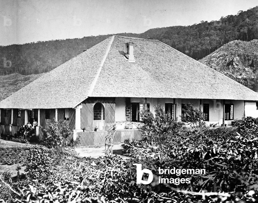 Archie Chamberlin's Bungalow, Ceylon, 1877 (b/w photo)