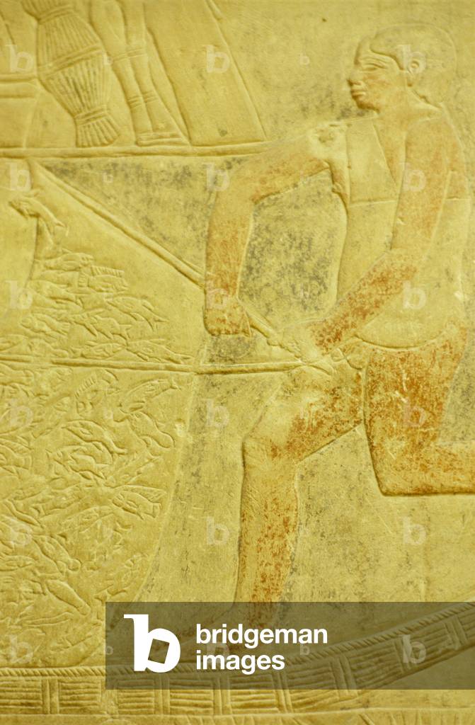 Tomb of Merereuka, Mastaba of Merereuka, 6th Dynasty, Saqqara, Fishing using a draw net (photo)