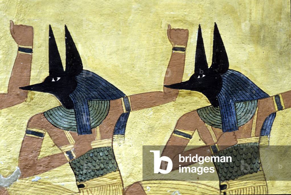 Tomb of Inherkhau, TT359 in Deir el Medina, Thebes, Inherkhau, 'Foreman of the Lord of the Two Lands in the Place of Truth', Inherkahu worshipping jackal Gods of the underworld, Ramesside period, 20th Dynasty (photo)