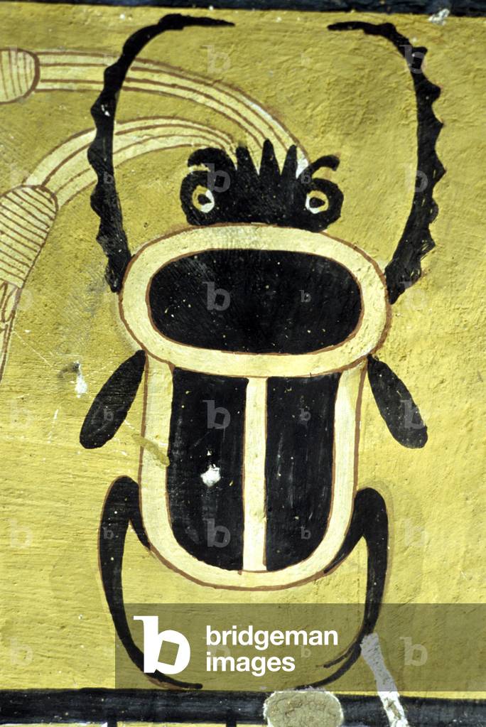 Tomb of Inherkhau, TT359 in Deir el Medina, Thebes, Inherkhau, 'Foreman of the Lord of the Two Lands in the Place of Truth', Ramesside period, 20th Dynasty Scarab beetle (photo)