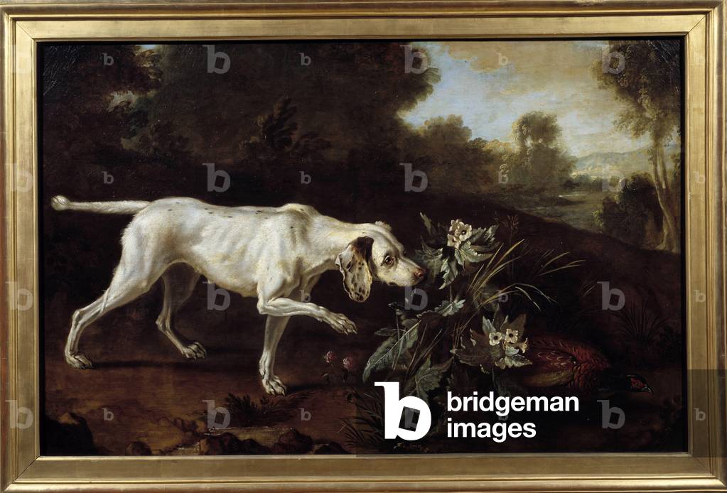 Immagine di Dipinto "Il cane si fermerà davanti al gioco" 1701 di French School
