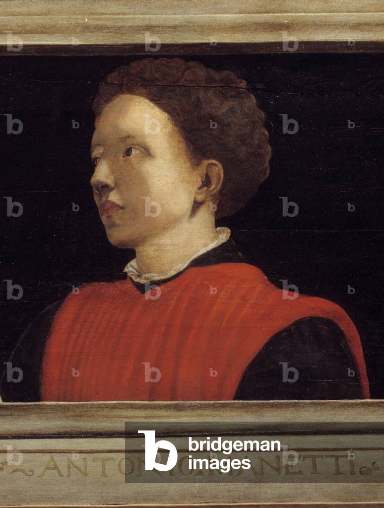 Cassone featuring 5 portraits of the Master of the Florentine Renaissance detail with the portrait of Manetti Rutilio di Lorenzo, 16th century (painting)