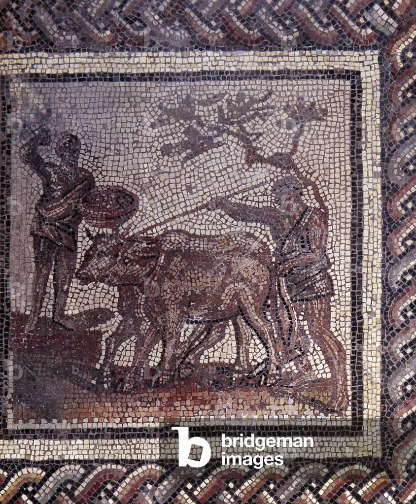 Gallo Roman Art: mosaic paving representing a rustic calendar, Seeding and plowing scene, end 2nd, beginning of 3rd century AD (mosaic)