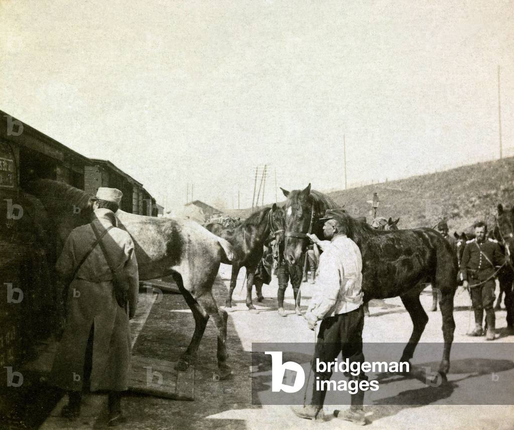 A photo album of an infantry lieutenant during the first months of the First World War, 1914-1918 (photo)