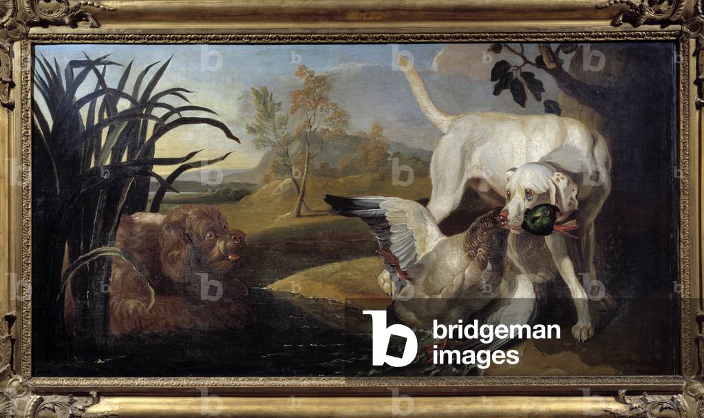 Bild von Gemälde "Braque-Hund hält eine Stockente im Maul" 1701 von Jacques Charles Oudry