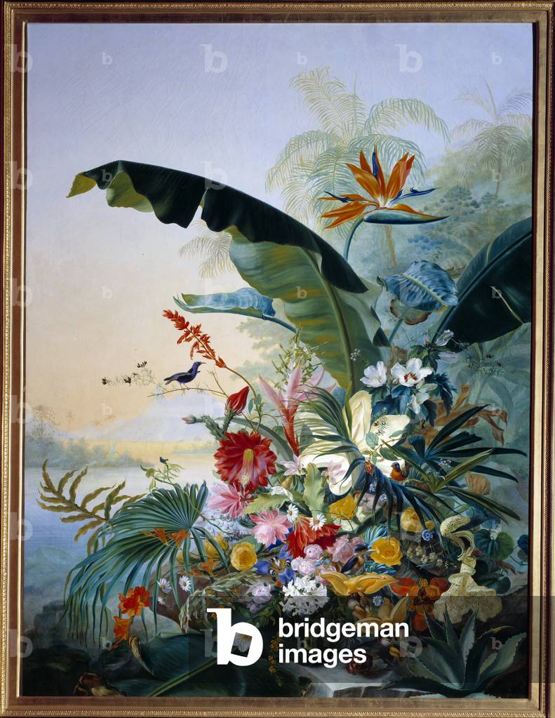 Exotic Flowers, 1836 (oil on canvas)