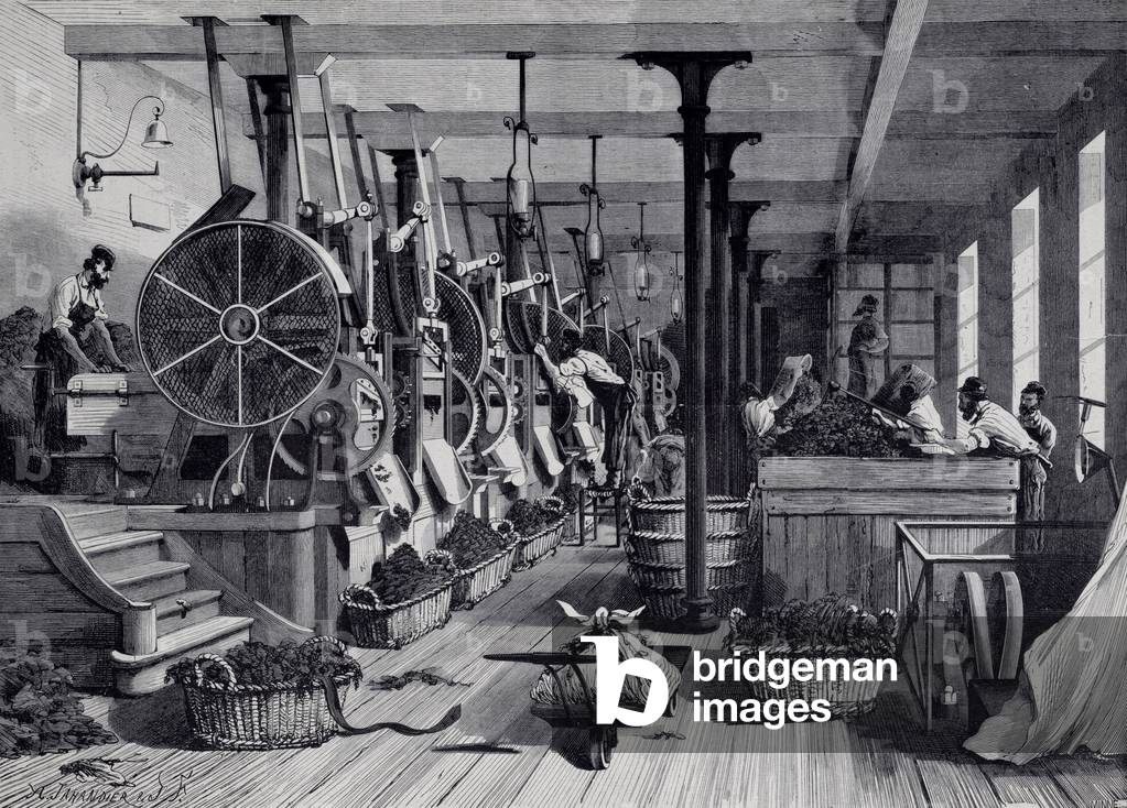 Tobacco factory, laundry room and tobacco rapage, c.1867 (engraving)