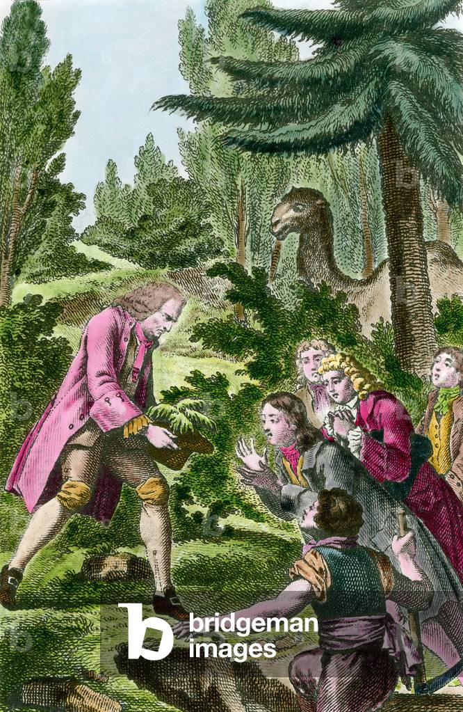 Bernard de Jussieu (1699-1777) planting cedar from Lebanon in the garden of plants in Paris in 1734, 18th century (engraving)