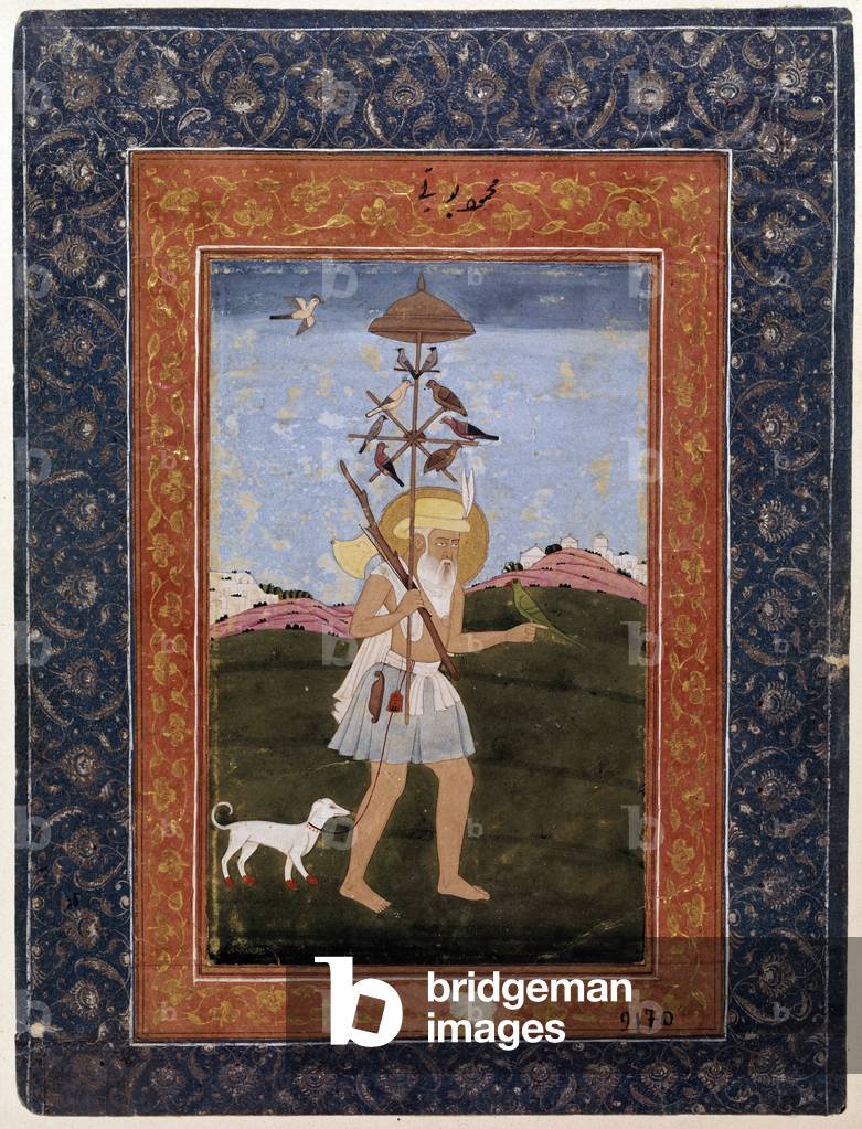 Indian art: the bird bird, Gouache of the Deccan School (Dekkan)