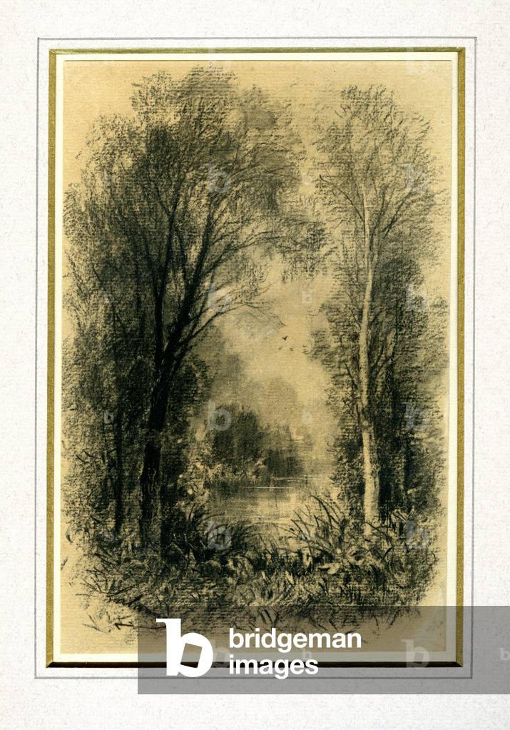 A river running though woodland (charcoal on paper)