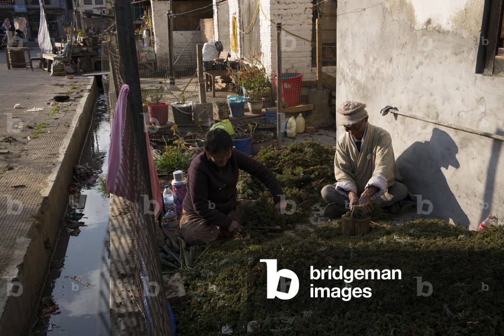 Street scene, Paro Bhutan (photo)