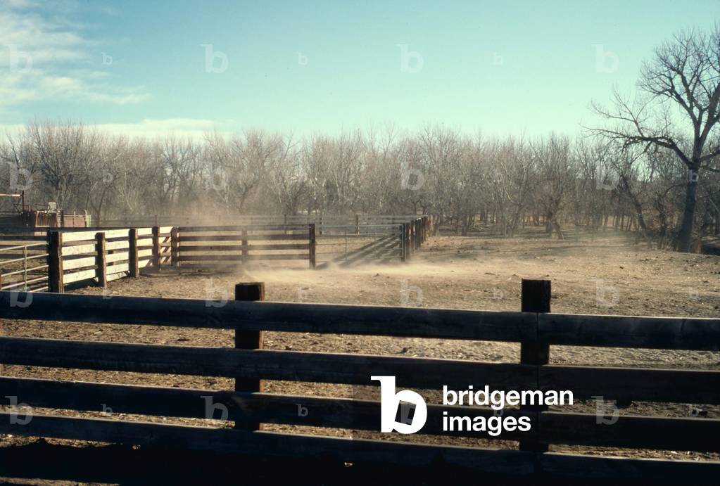 Winter Ranch Scene, Dee ranch Wyoming 1996 (photo)