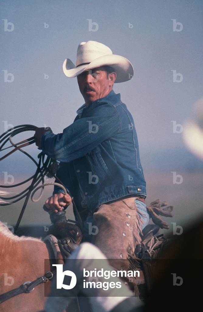 Cowhand in the saddle, Davies ranch New Mexico, USA (photo)