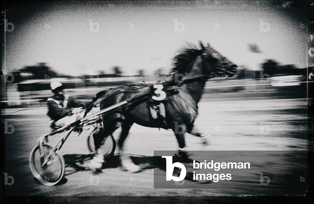 Trotting in France, 1996 (photo)