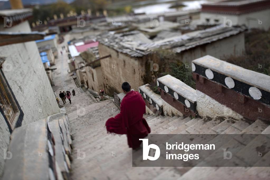 Novice monk, Shangri La, China (photo)