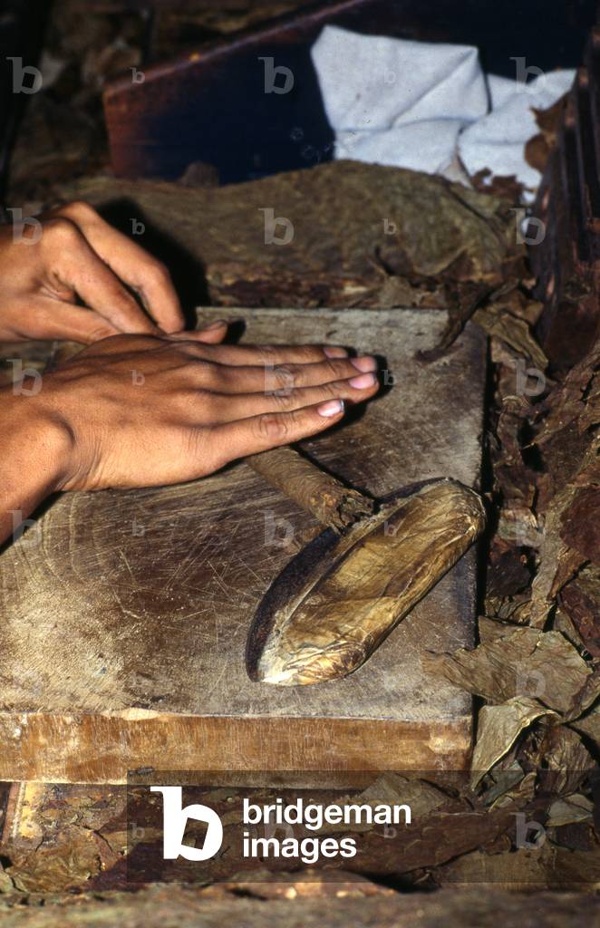 Woman rolling tobacco leaves to make a cigar, Santa Rosa de Copan, Honduras (photo)