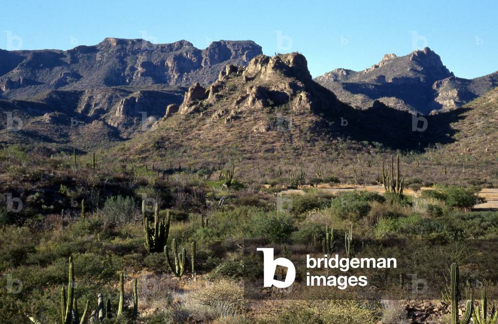 Sierra Loreto, Baja California Peninsula, Mexico (photo)