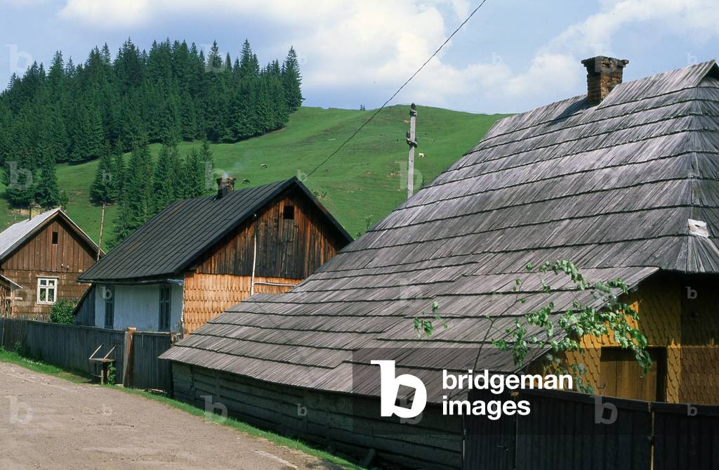 Traditional houses in a village in Transylvania, Carpathian Mountains, Romania (photo)